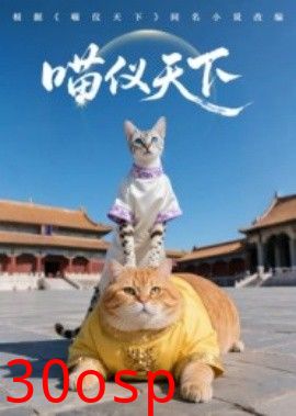 喵仪天下