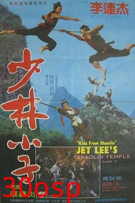 少林小子国语