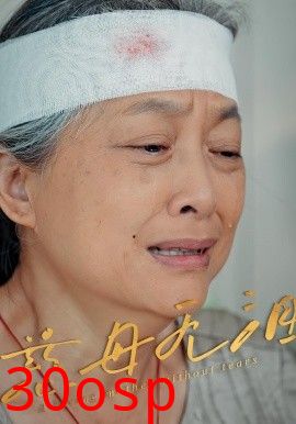 慈母无泪