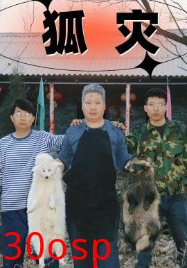 狐灾