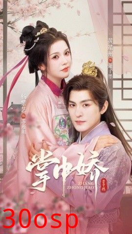 掌中娇94集
