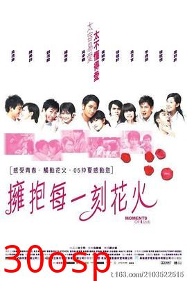 拥抱每一刻花火国语