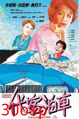 代客泊车国语