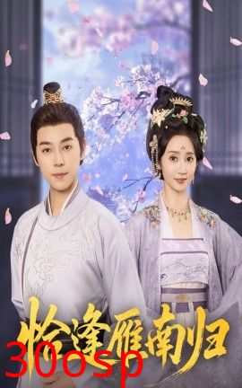 恰逢雁南归