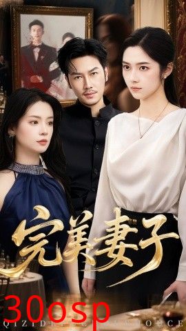 完美妻子