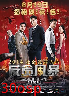 反贪风暴国语