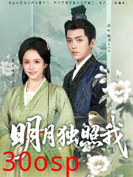 明月独照我