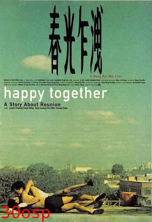 春光乍泄【影视解说】