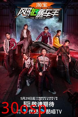 风驰赛车手