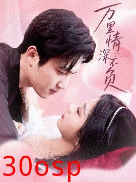 万里情深不负