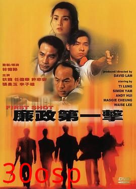 廉政第一击粤语