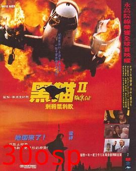 黑猫II：刺杀叶利钦粤语