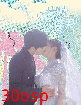 岁晚忽逢君