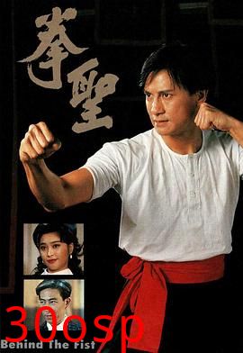 拳圣粤语