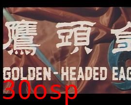 金头鹰粤语