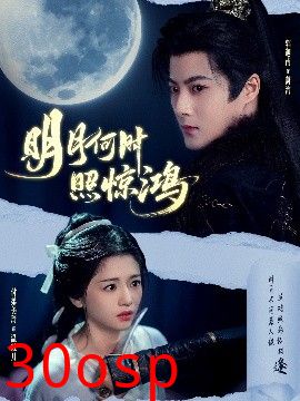 明月何时照惊鸿