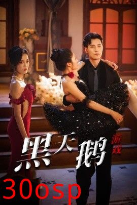 黑天鹅游戏