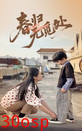 春归无觅处