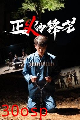 正义的锋芒