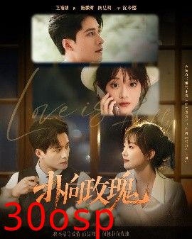 扑向玫瑰