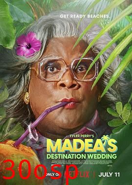 梅迪亚度假婚礼团