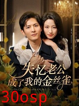 失忆老公成了我的金丝雀