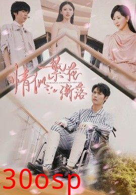 情似繁花渐落