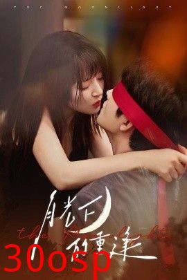 月光下的重逢