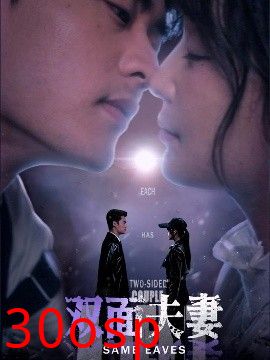 双面夫妻
