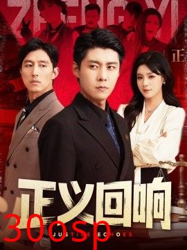 正义回响