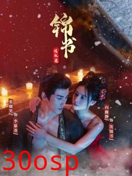 锦书谋权录