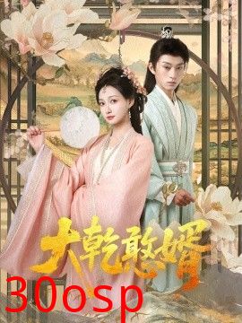 大乾憨婿101集