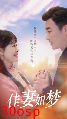 佳妻如梦