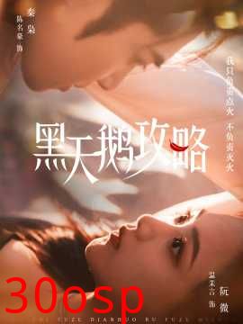 黑天鹅攻略