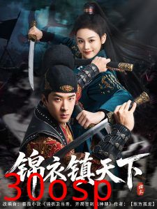锦衣镇天下