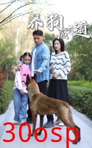 养狗应有道