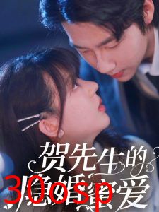 贺先生的隐婚蜜爱