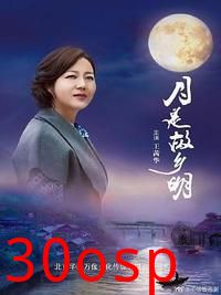 故乡无月明