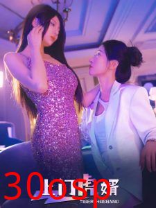上门虎婿