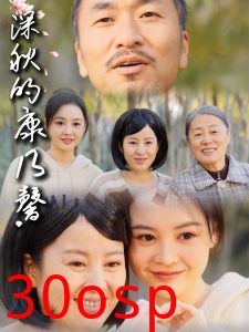 深秋的康乃馨