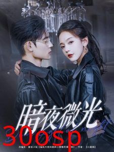 暗夜微光