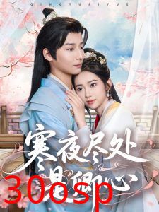 寒夜尽处是卿心