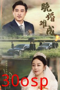 晚婚难成