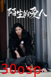 陌生的爱人
