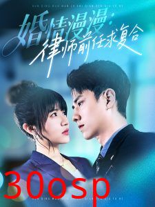 婚情漫漫，律师前任求复合