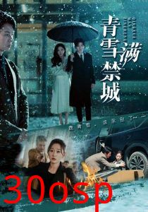 青雪满禁城