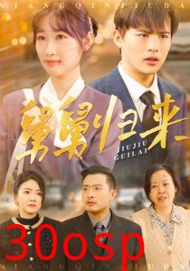 舅舅归来