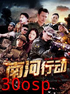 南河行动