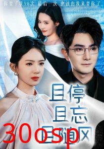 且停且忘且随风