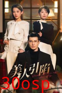 美人引陷